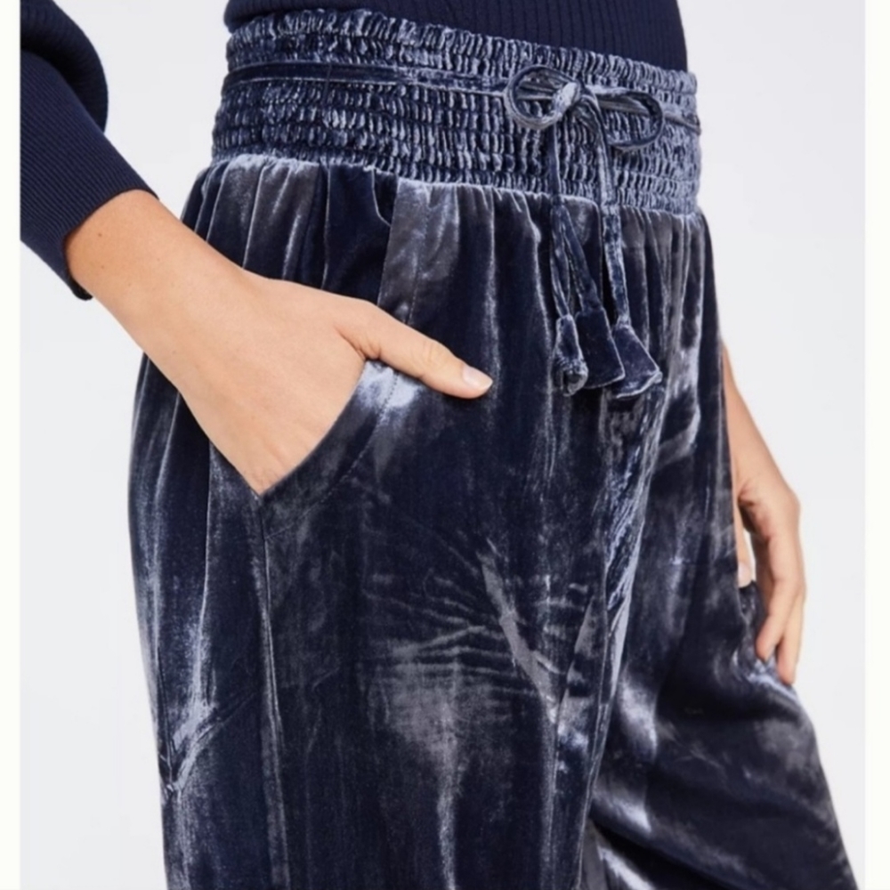 Anthropology Gloria velvet jogger size small Gray